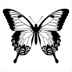 Black monochrome Butterfly Silhouette Vector illustration