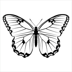 Black monochrome Butterfly Silhouette Vector illustration