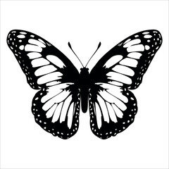 Black monochrome Butterfly Silhouette Vector illustration