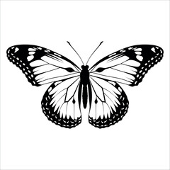 Black monochrome Butterfly Silhouette Vector illustration