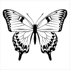 Black monochrome Butterfly Silhouette Vector illustration