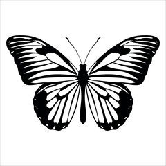 Black monochrome Butterfly Silhouette Vector illustration
