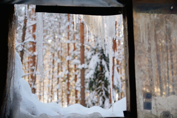 view from the window of a wooden house on a winter forest covered with snow and icicles hanging from the roof. A frosty morning in a secluded house in the woods