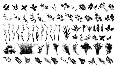 Natural Leaves, Bushes Silhouette Vector Pack graphic drawing illustration for stickers, streetwear, t-shirts, logos, print-on-demand, print, or branding