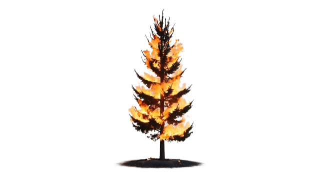burning tree (png)