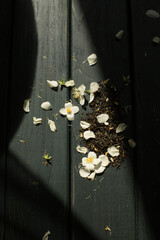flowers on the table