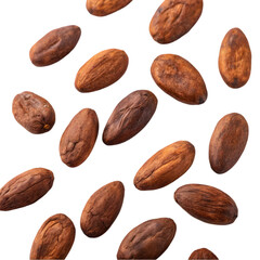 Obraz premium cocoa beans on transparent background