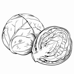 Whole and halved brussels sprouts, black and white drawing
