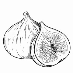 Whole and sliced fig illustration in black and white