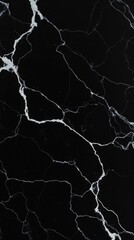 Luxurious Black Marble with Bold White Veins