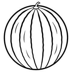 Elegant watermelon Line Illustration