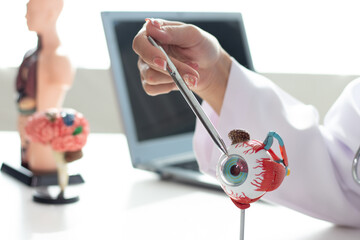Surgeon with human eye model and explains in modern clinic treatment