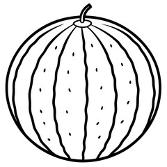 Elegant watermelon Line Illustration