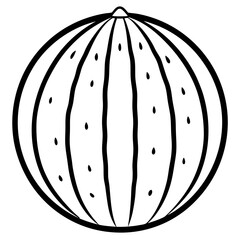 Elegant watermelon Line Illustration