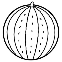 Elegant watermelon Line Illustration