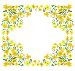 design frame Hand Drawn Flowers St. Johns Wort simple vector illustration on a white background