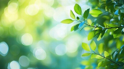 Abstract Blue and Green Bokeh Background with Blurred Lines