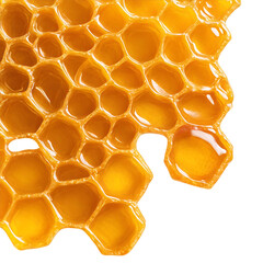 Golden Honeycombs Isolated on Transparent Background