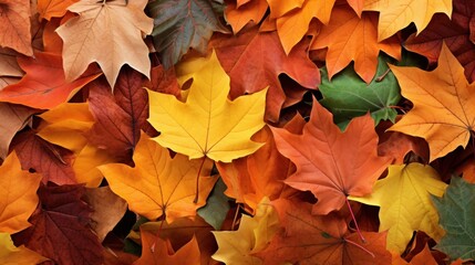 Autumn Bliss - Colorful Leaf Pile Texture Background with Soft Blanket of Fallen Leaves in Various Colors
