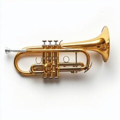 Obraz premium Golden trumpet isolated on white background.