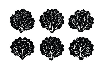 Lettuce (Lactuca sativa) design, labeled linocut vector illustration