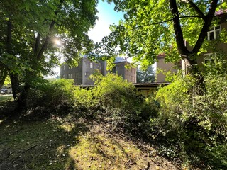 trees in the park and houses in the background