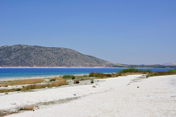a shore with white sand and some bushes and a mountain and blue sky 