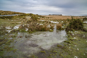 Frozen ice on Dartmoor