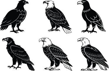 Standing Eagle set vector, Eagle silhouette vector, Eagle line art vector illustration design