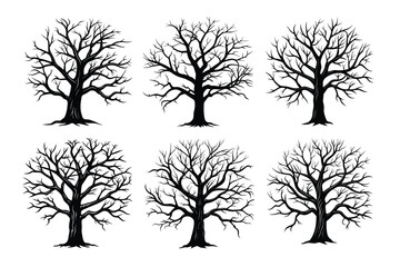 Obraz premium set of trees silhouettes