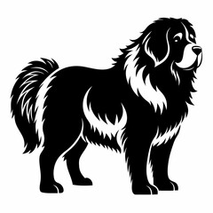 Newfoundland silhouette vector black animal on white background