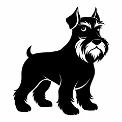 Schnauzer silhouette vector black animal on white background
