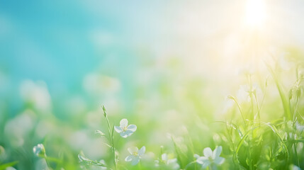 Fototapeta premium A sunny spring meadow blurred in the background, with a gradient from blue sky to green grass.