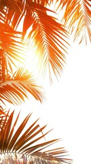 Obraz premium Vibrant Tropical Palm Leaves Against Bright White Background