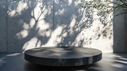 Empty round stone pedestal, concrete wall with tree shadows, outdoor setting,  product display