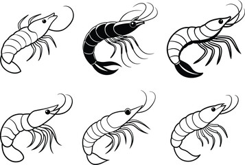 Shrimp line art coloring page