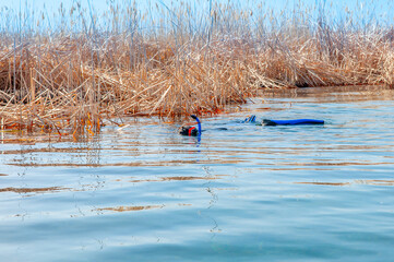 The diver swims in a wetsuit, flippers and a mask with a tube. The rescuer divers carries out work under water.