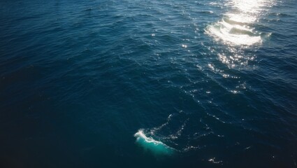 Fototapeta premium Sunlight dancing through the deep blue ocean