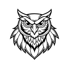 owl with wings with white white background