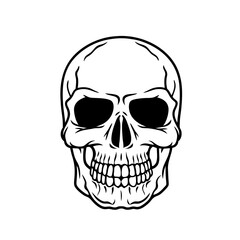 human skull illustration with white background