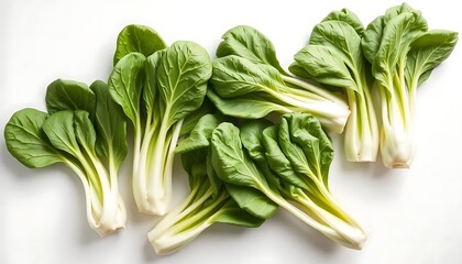Bok Choy: Vibrant Green Vegetables, Fresh and Crisp, Minimalist Still Life