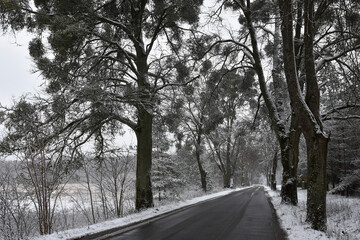 Obraz premium Winter in Warmia in Poland