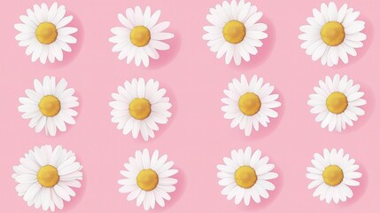 Obraz premium Set of Isolated Daisy Icons on Pink Background for Clean Design
