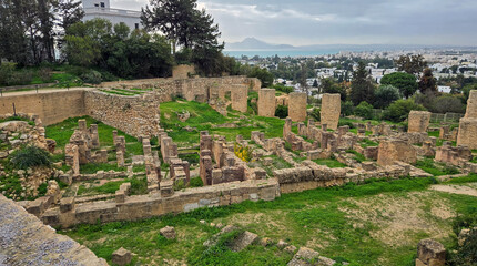 Archaeological site of Carthage with ruins and greenery..