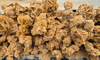 Desert rose formations from Tunisia in a close-up view..