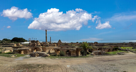 Archaeological site of Carthage with ruins and greenery..
