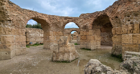 Archaeological site of Carthage with ruins and greenery..