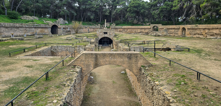 Archaeological site of Carthage with ruins and greenery..