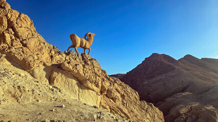 Historic village of Chebika in Tunisia with palm trees and desert mountains..