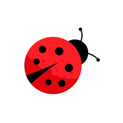Ladybug - vector illustration © KR Studio